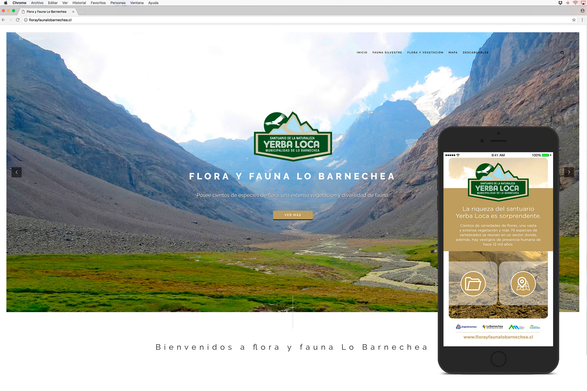 Proyecto `Flora y fauna Lo Barnechea´